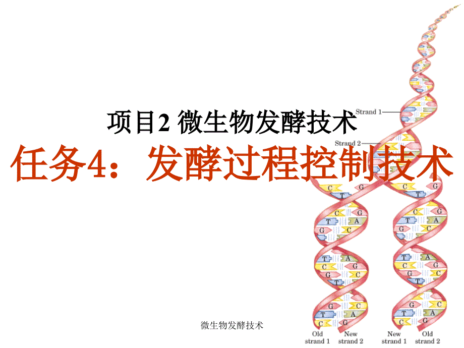 微生物酵技术课件_第1页