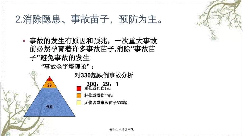 安全生产培训李飞PPT课件_第5页