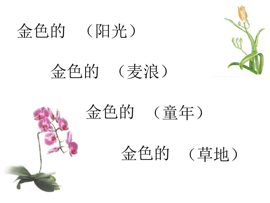 2金色的草地 (2)_第3页