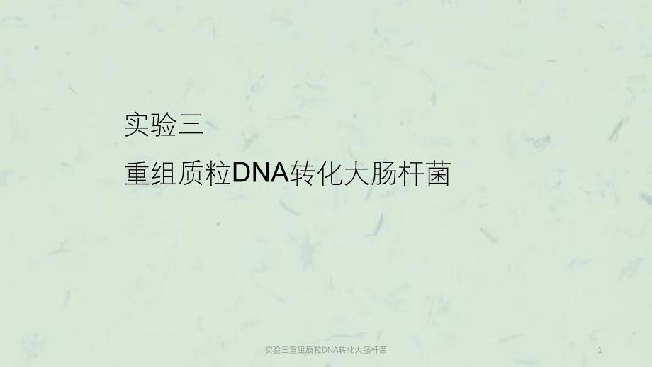 实验三重组质粒DNA转化大肠杆菌课件_第1页