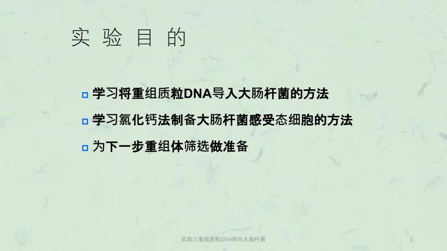 实验三重组质粒DNA转化大肠杆菌课件_第2页