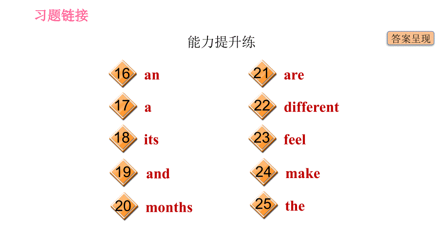 牛津沪教版八年级上册英语习题课件 Unit5 课时3 Grammar_第3页