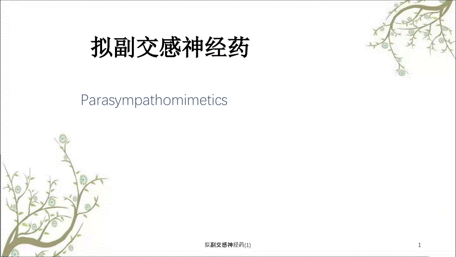 拟副交感神经药1课件_第1页