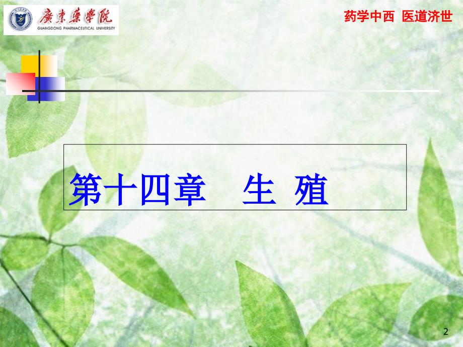 生殖系统生理学共17页_第2页