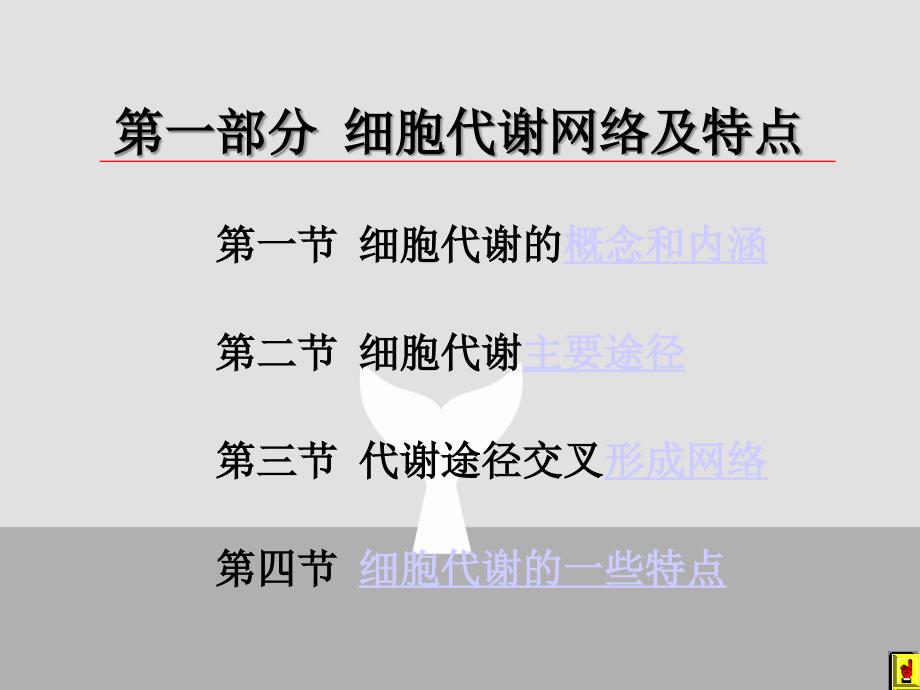 大学生物化学考研考研物质代谢联系及调节_第3页