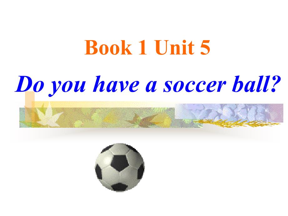 unit5_Do_you_have_a_soccer_ball？ (2)_第1页