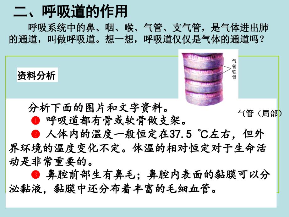 人教版七年级生物下册431呼吸道对空气的处理课件共26张PPT_第4页