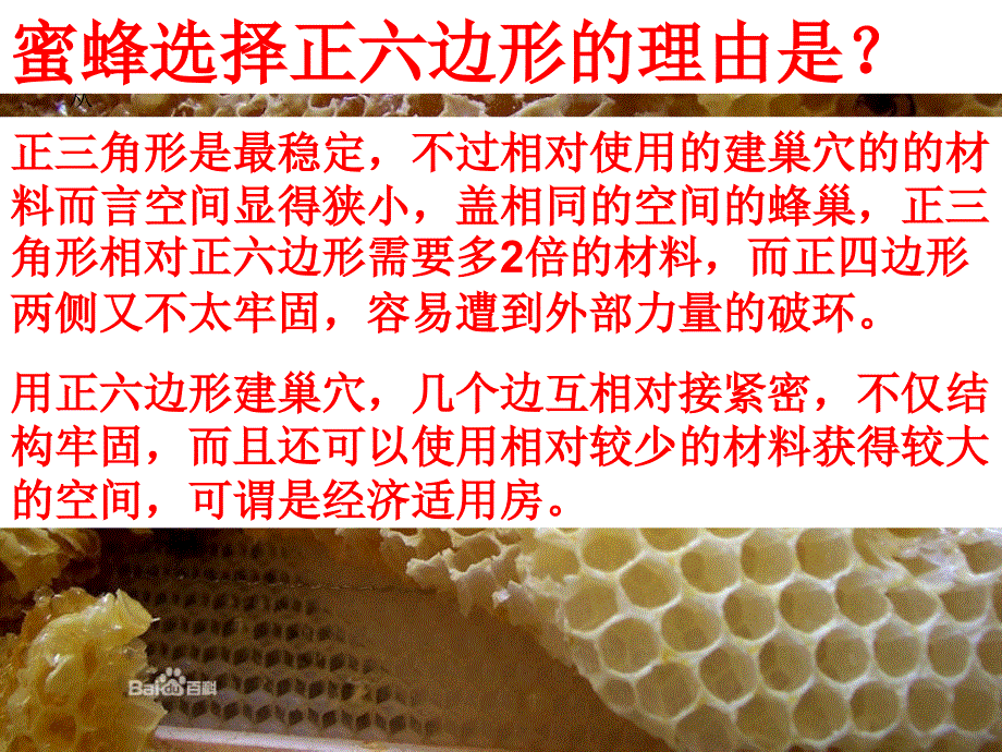 第一章走进数学世界1_第4页