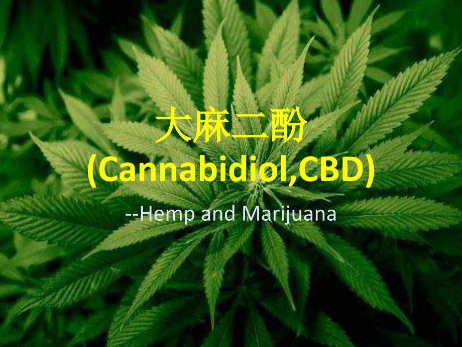 大麻素简介Cannabidiol简介.ppt_第1页