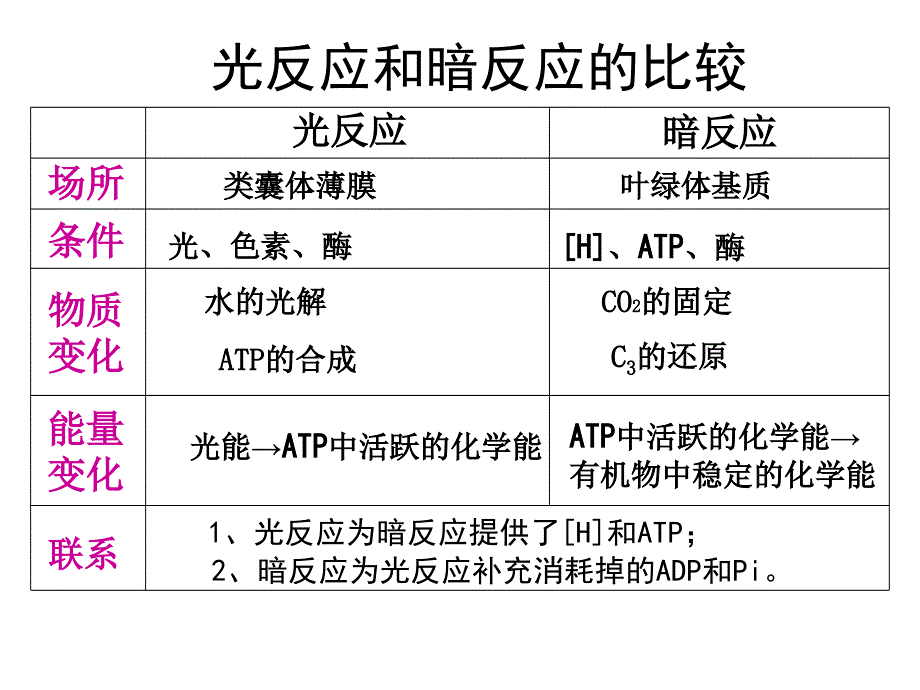 影响光合作用因素公开课_第3页