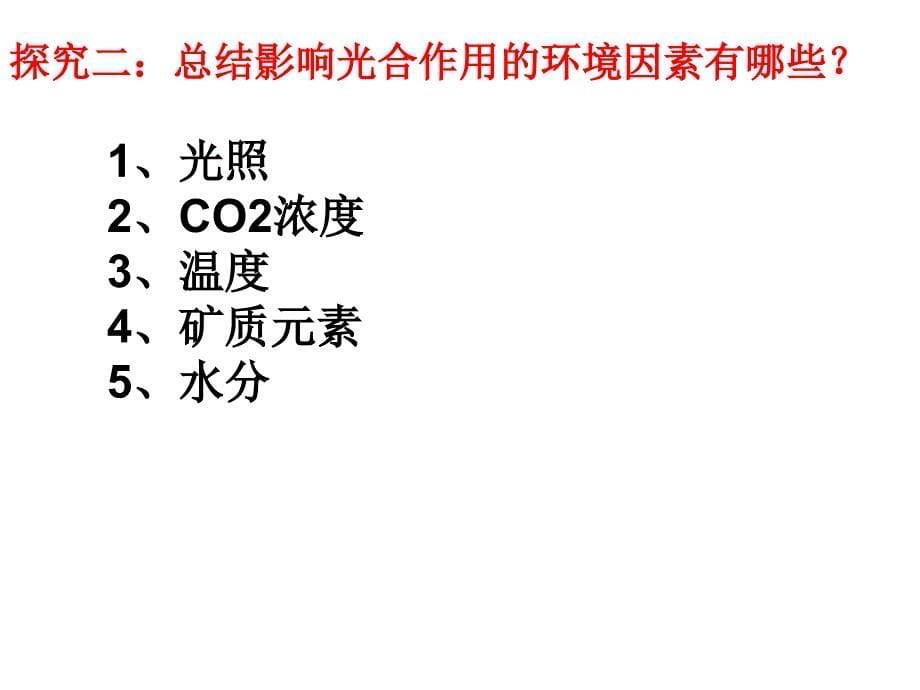 影响光合作用因素公开课_第5页