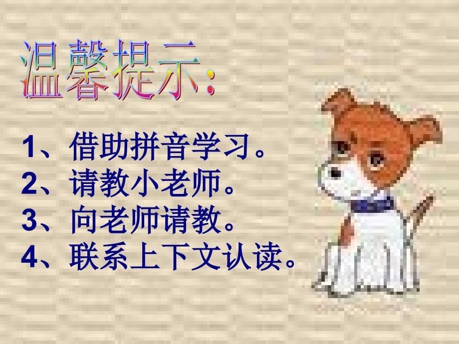 想飞的乌龟教学课件_第5页