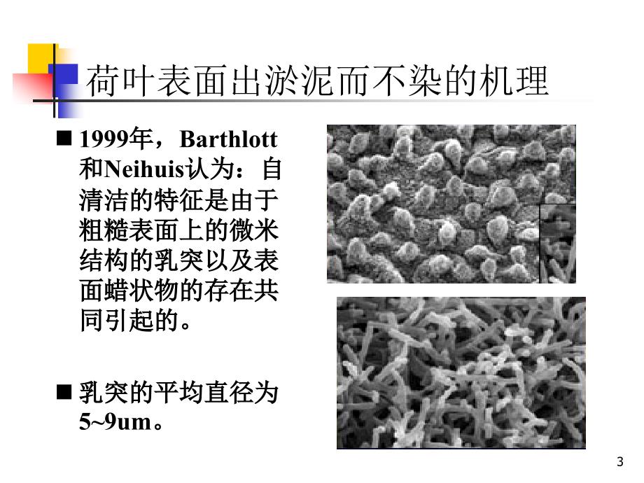 基于荷叶效应的超疏水表面的几何设计课件_第3页