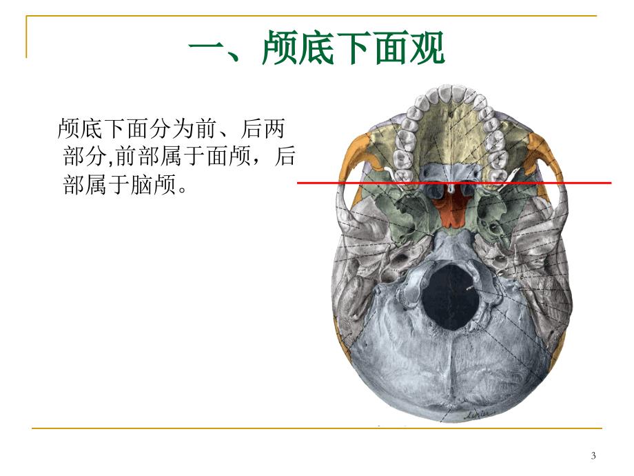 颅底解剖详解课件_第3页