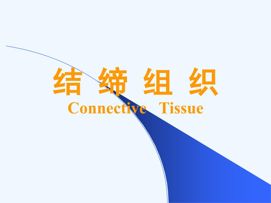 结缔组织.ppt_第1页