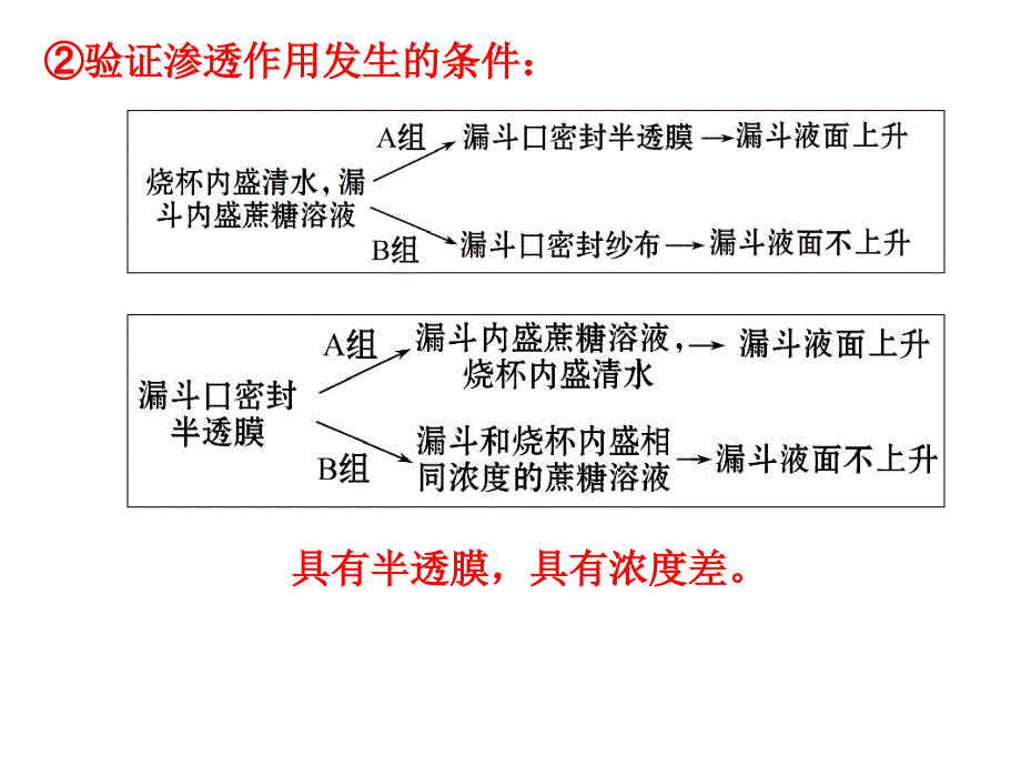 专题_渗透作用的原理和应用_第4页