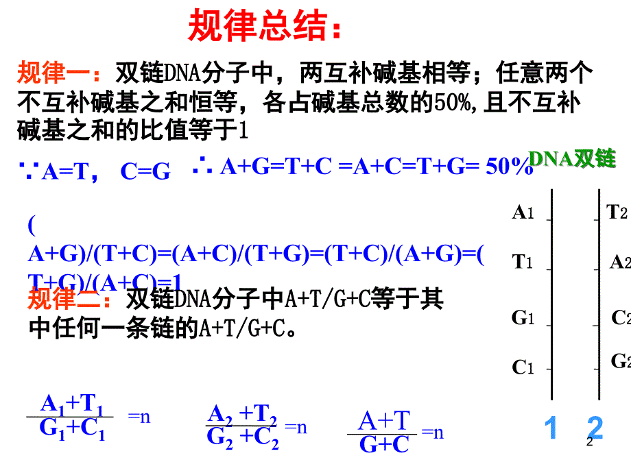 碱基互补配对的计算专题课堂PPT_第2页