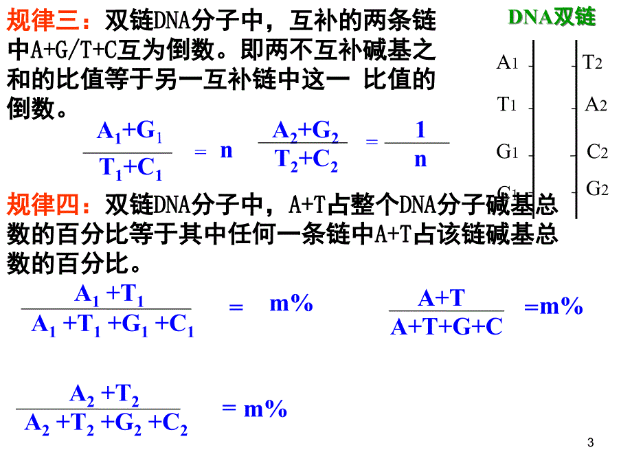 碱基互补配对的计算专题课堂PPT_第3页