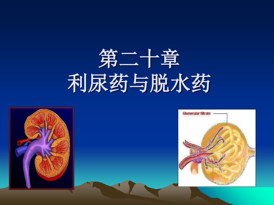 药理学课件第二十章利尿药和脱水药_第1页