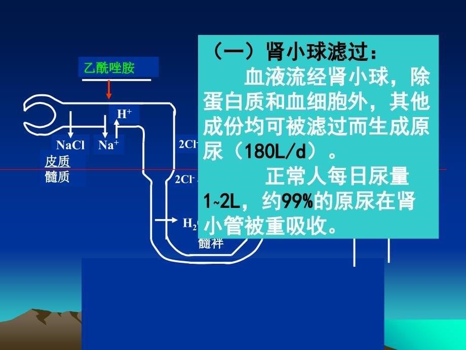 药理学课件第二十章利尿药和脱水药_第5页