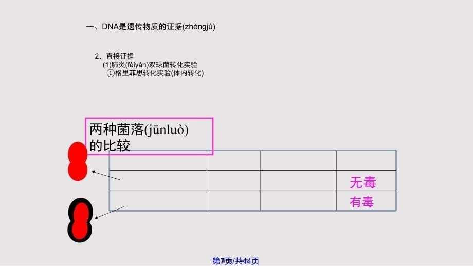 DNA是主要的遗传物质高三复习实用教案_第5页