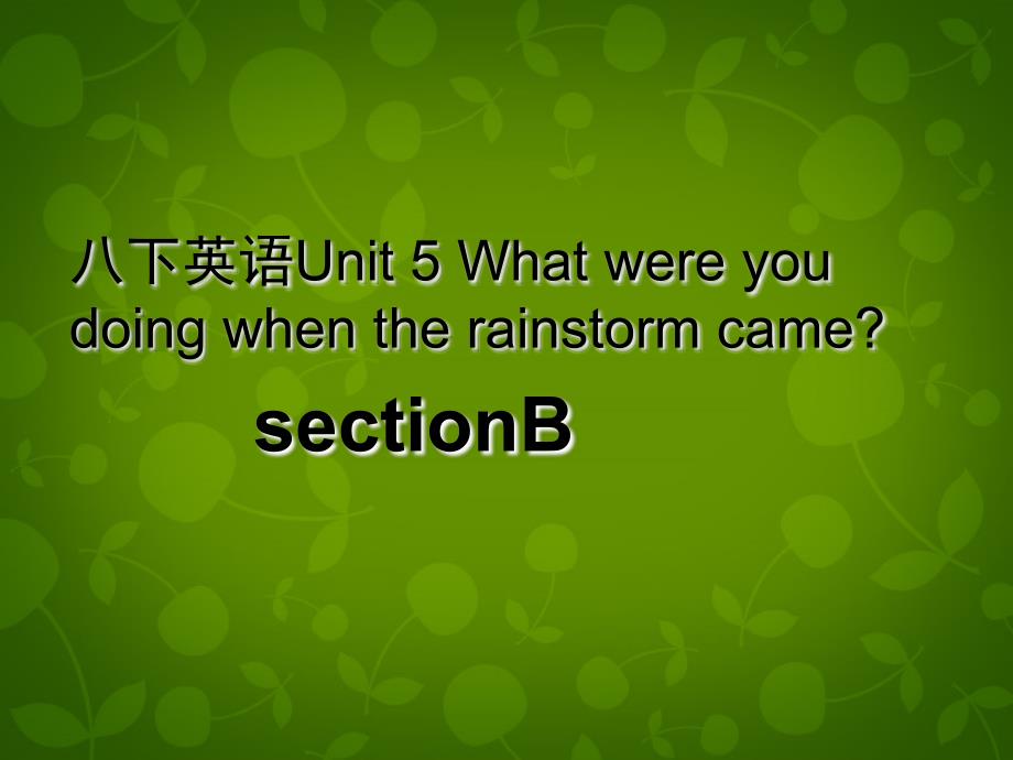 湖北省荆州市沙市第五中学八年级英语下册 Unit 5 What were you doing when the rainstorm came课件3 新版人教新目标版_第1页