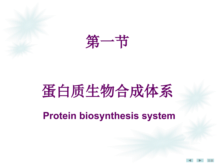 生物化学与分子生物学：蛋白质生物合成_第3页