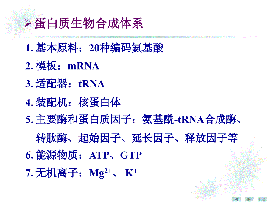 生物化学与分子生物学：蛋白质生物合成_第4页