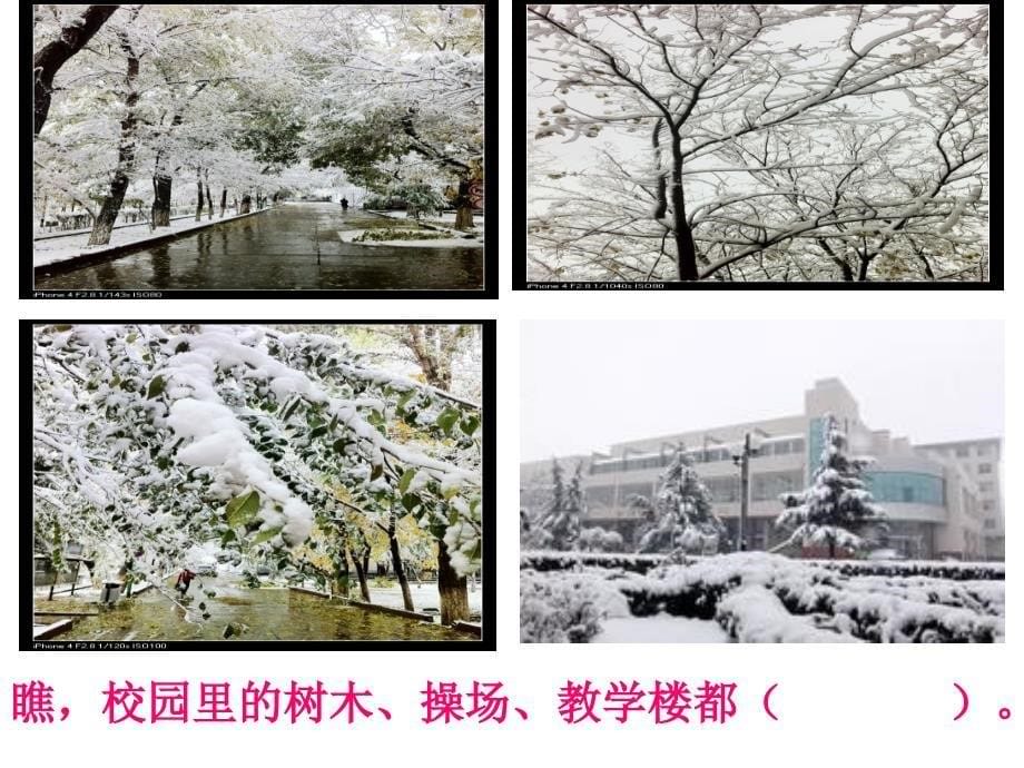 二年级看图写话雪中的校园_第5页