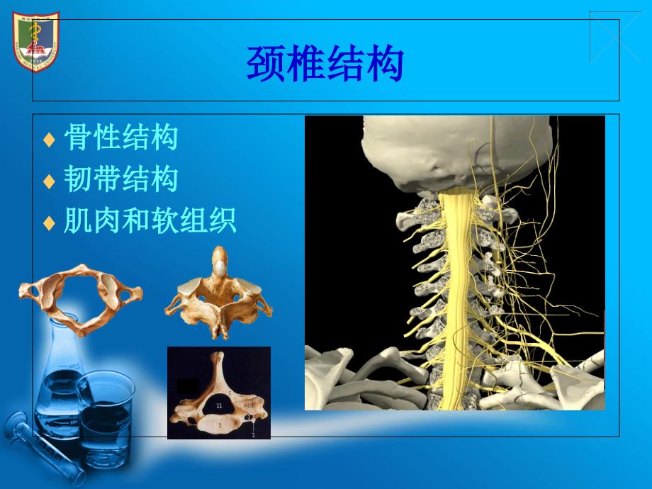 《颈椎病康复》PPT课件_第3页