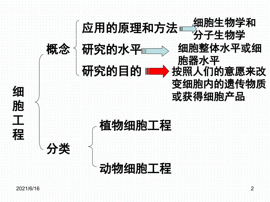 植物细胞工程的基本技术ppt_第2页