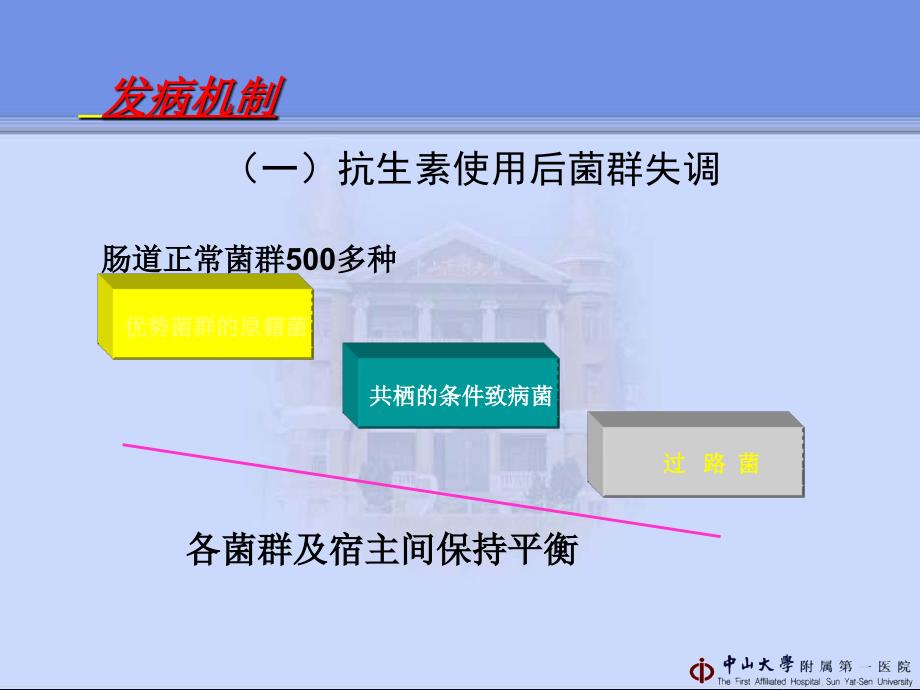 抗生素相关性腹泻管向东课件_第4页