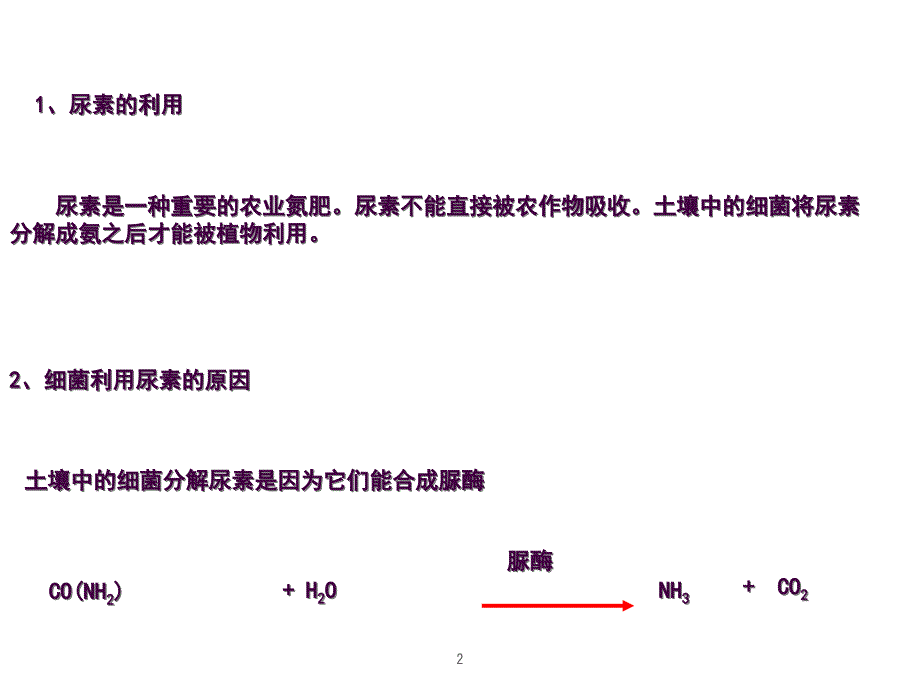 2.2分解尿素的细菌ppt课件_第2页