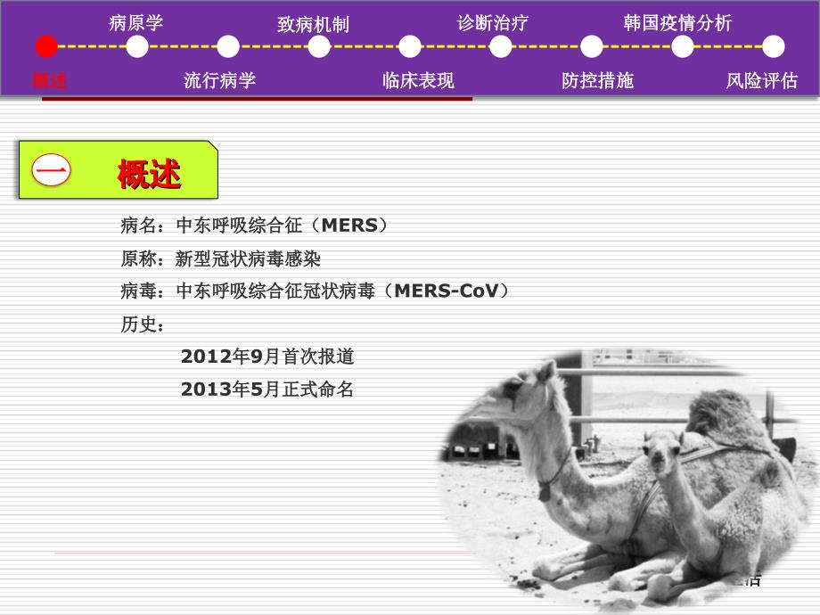 中东呼吸综合征(MERS)_第2页