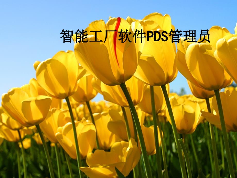 PDS管道设计软件安装骨灰级PPT精选文档_第1页