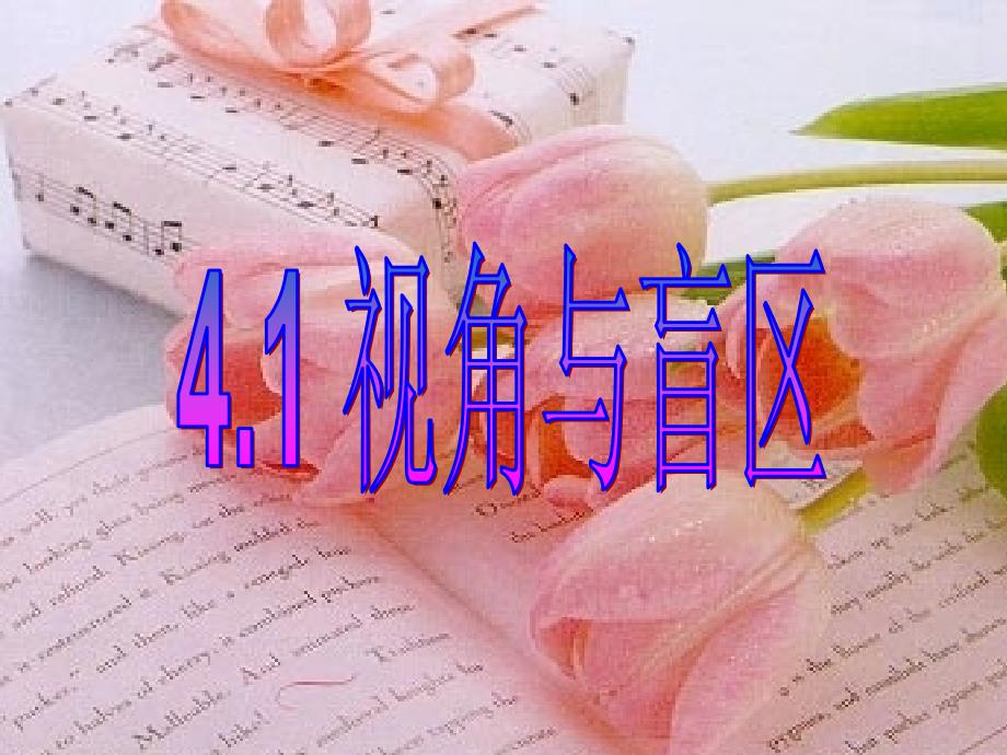 41视角与盲区_第2页