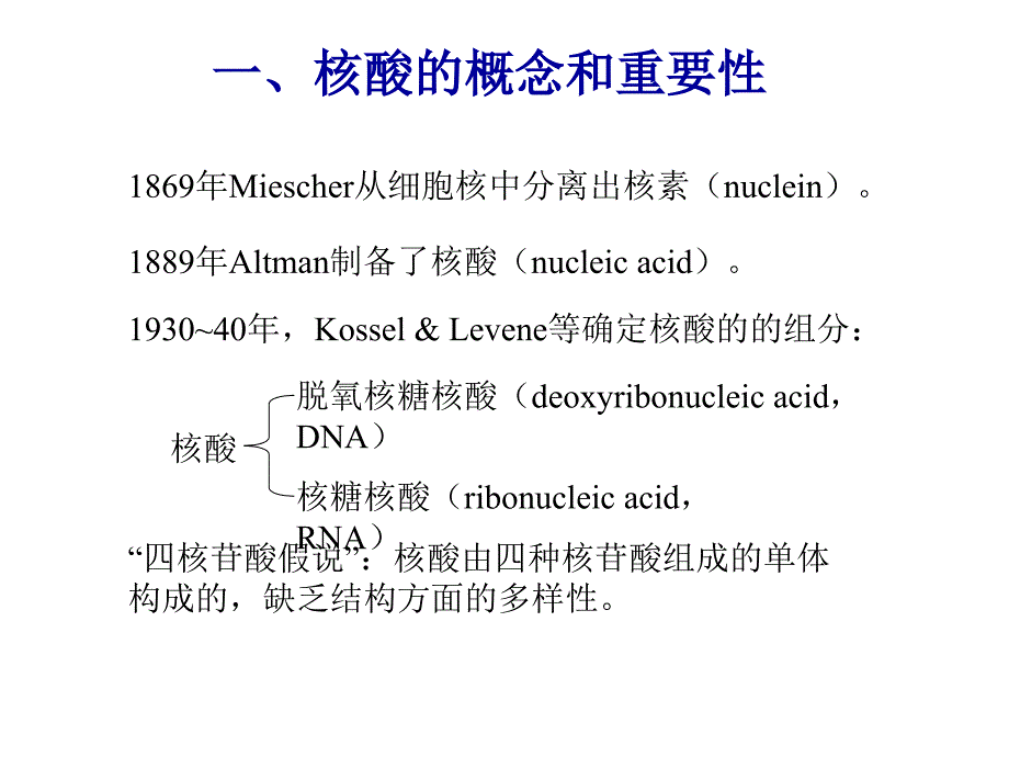 《核酸化学 》PPT课件_第2页