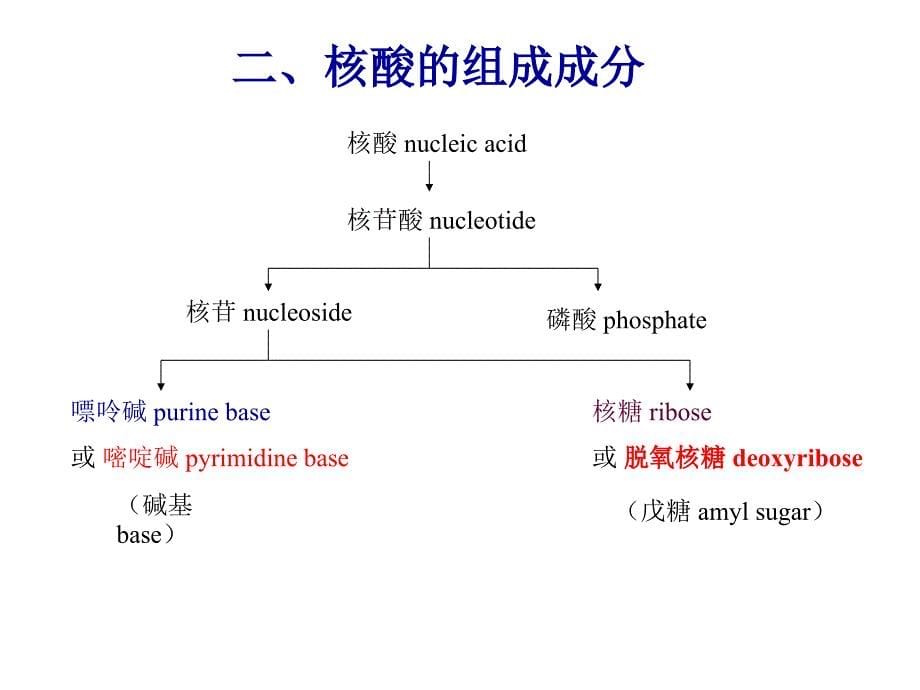 《核酸化学 》PPT课件_第5页