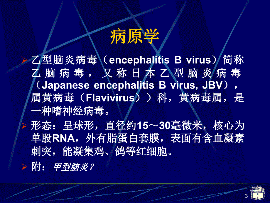 CP28流行性乙型脑炎参考PPT_第3页