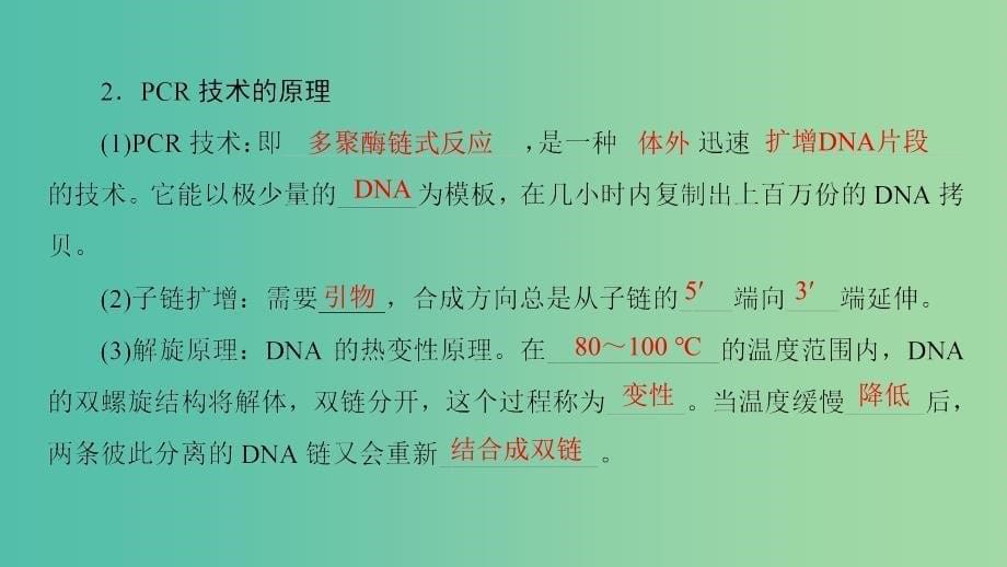 高中生物专题5DNA和蛋白质技术课题2多聚酶链式反应扩增DNA片段课件新人教版.ppt_第5页