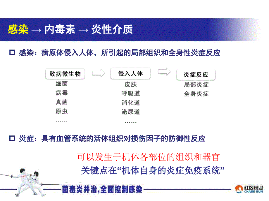 血必净内科PPT_第3页