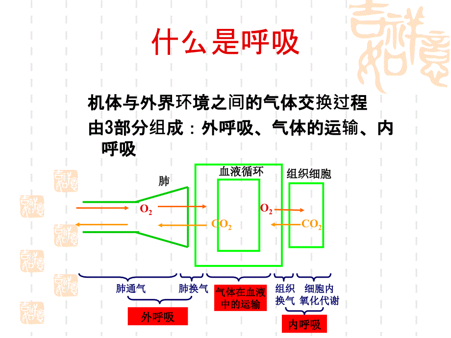 儿童呼吸衰竭与血气分_第2页