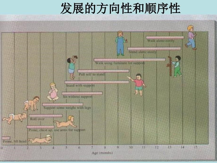 教师心理健康教育专题讲座.ppt_第5页