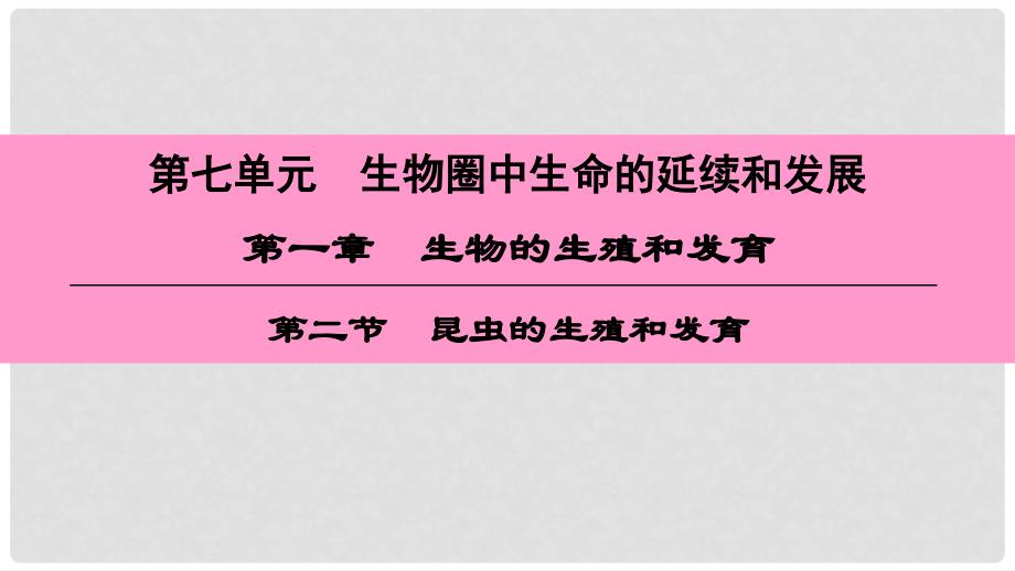 八年级生物下册 第七单元 第一章 第二节 昆虫的生殖和发育课件 （新版）新人教版_第1页