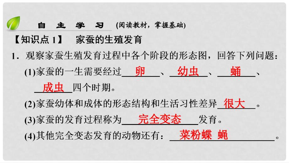 八年级生物下册 第七单元 第一章 第二节 昆虫的生殖和发育课件 （新版）新人教版_第4页