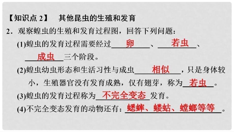 八年级生物下册 第七单元 第一章 第二节 昆虫的生殖和发育课件 （新版）新人教版_第5页