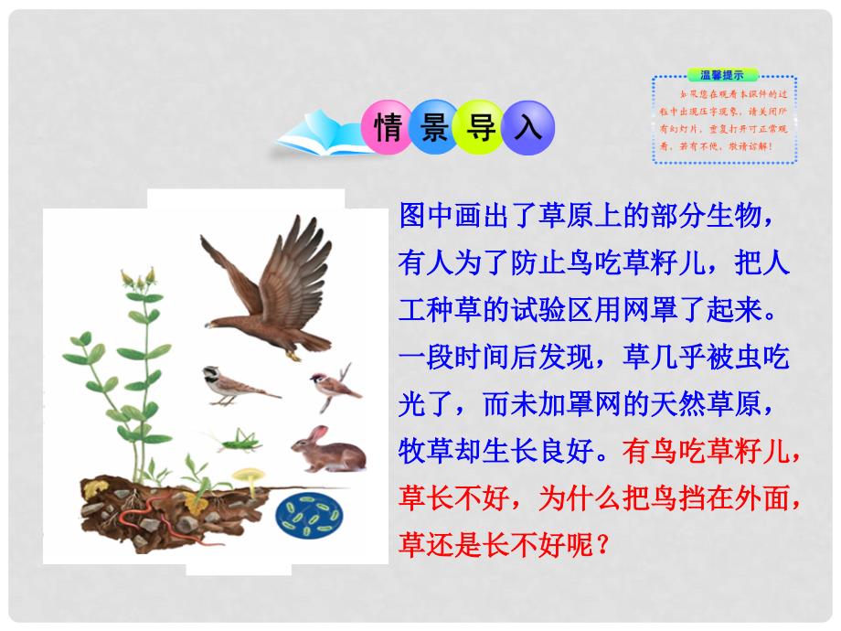 七年级生物上册 第二章 第二节 生物与环境 组成生态系统课件 新人教版.ppt_第2页