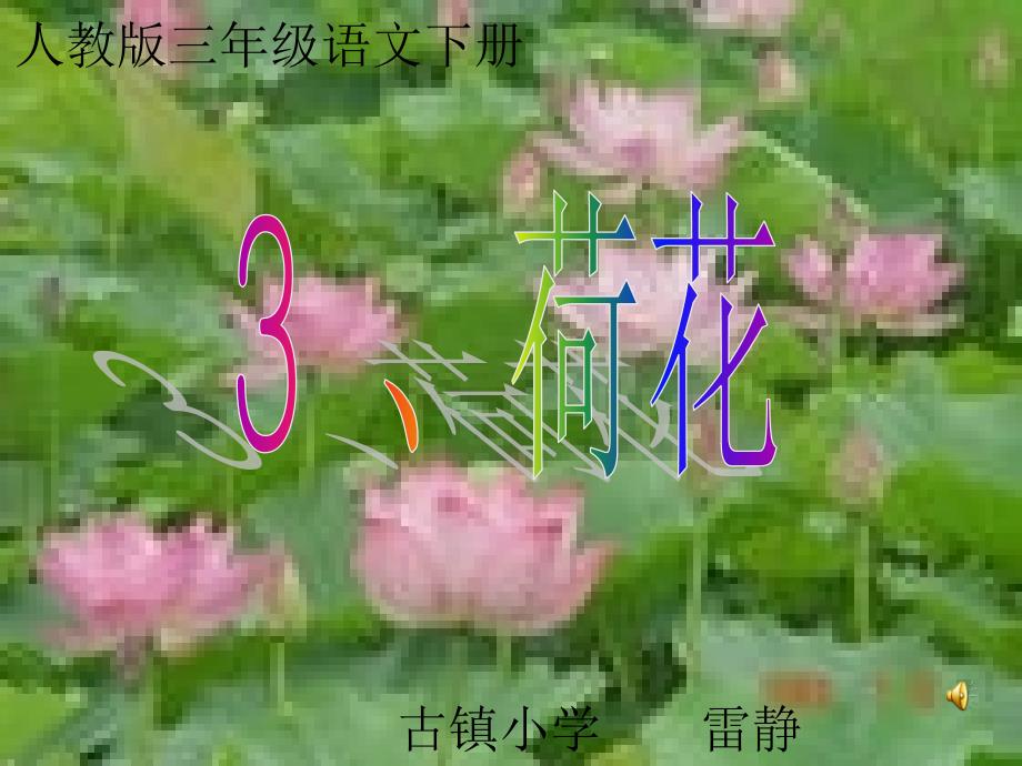 3荷花 (2)_第1页