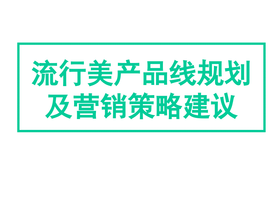 流行美饰品产品规划及营销策略建议_第1页