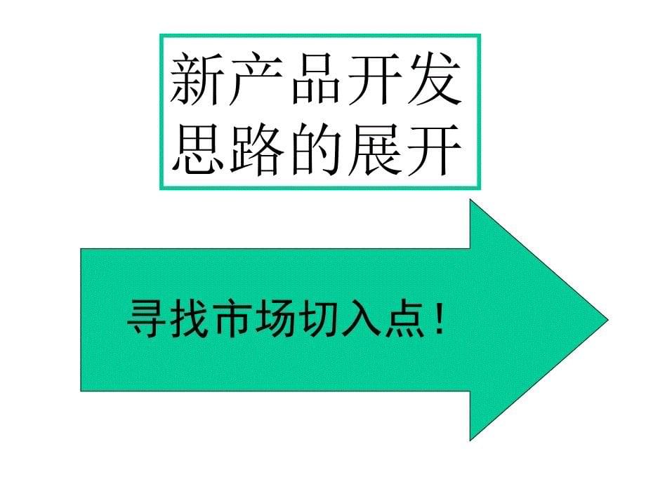 流行美饰品产品规划及营销策略建议_第5页